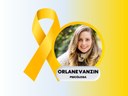 Setembro Amarelo: Escola do Parlamento promove palestra sobre prevenção ao suicídio